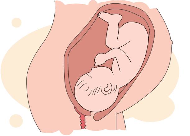 A Baby Coming Out of the Belly Dream in Hindu