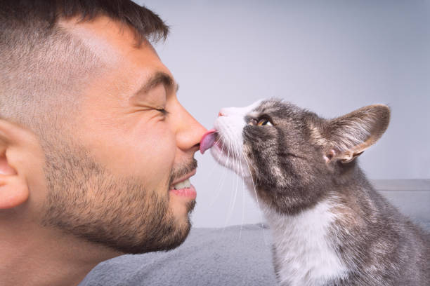 Dreaming About a Cat Licking Your Face: Islamic Interpretations
